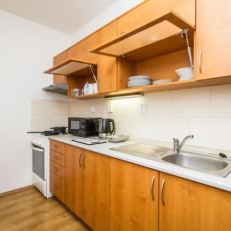 Silver By Lh Apartment Kutna Hora